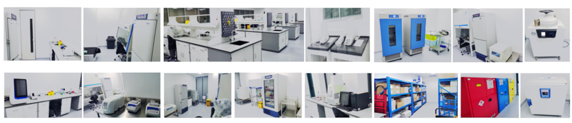 AG贵宾会·(中国游)集团首页