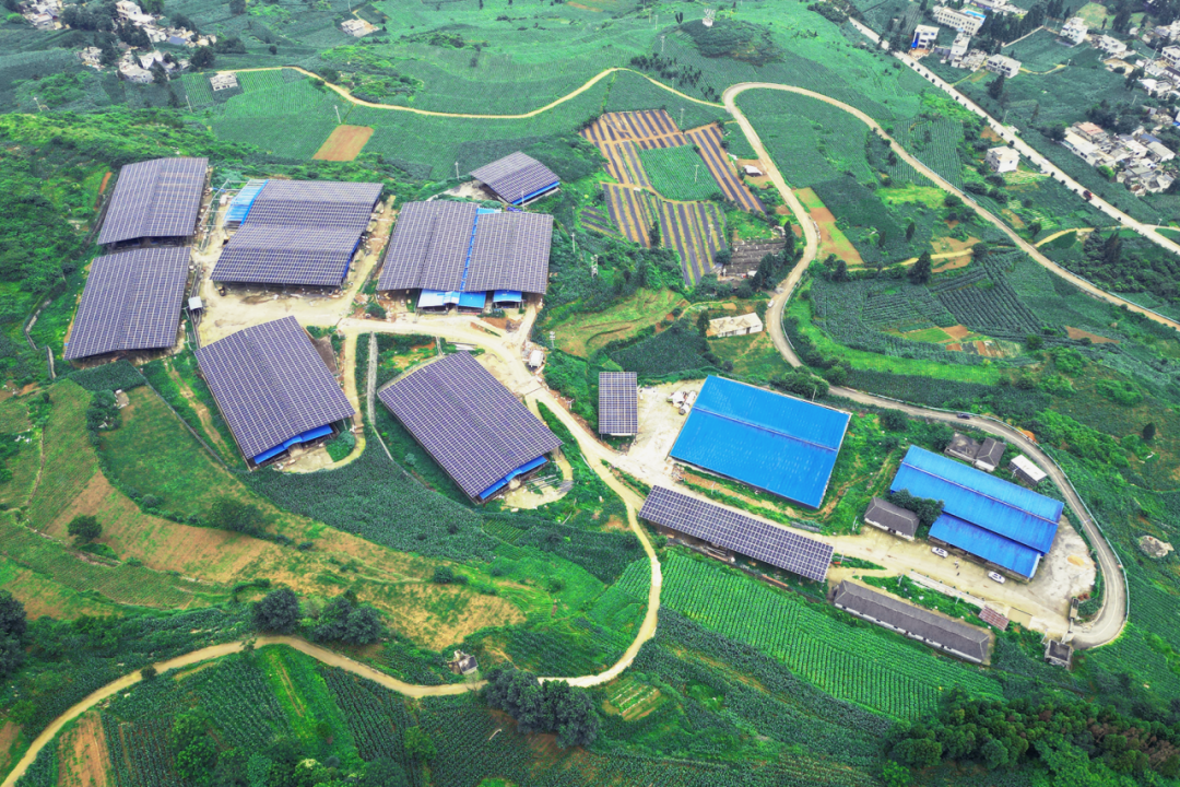 20240827217ce8397a6a4634882145cf400675f3